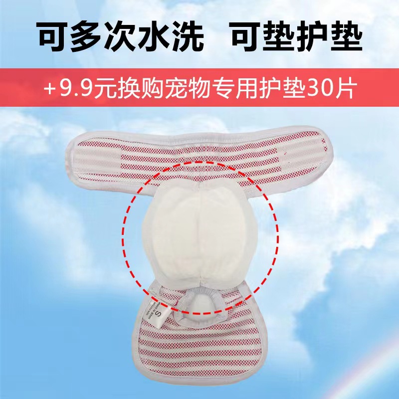 Pet Dog Pure Cotton Physiological Pants Corgi Akita French Bulldog Teddy Menstrual Pants Female Dog Anti-Pregnancy Menstrual Pants