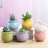 Small fresh flowerpot, breathable small pot, micro landscape, wholesale