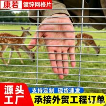 现货镀锌网片加粗长孔鸽舍鸽棚底围网苗床养殖围栏方孔铁网格防锈