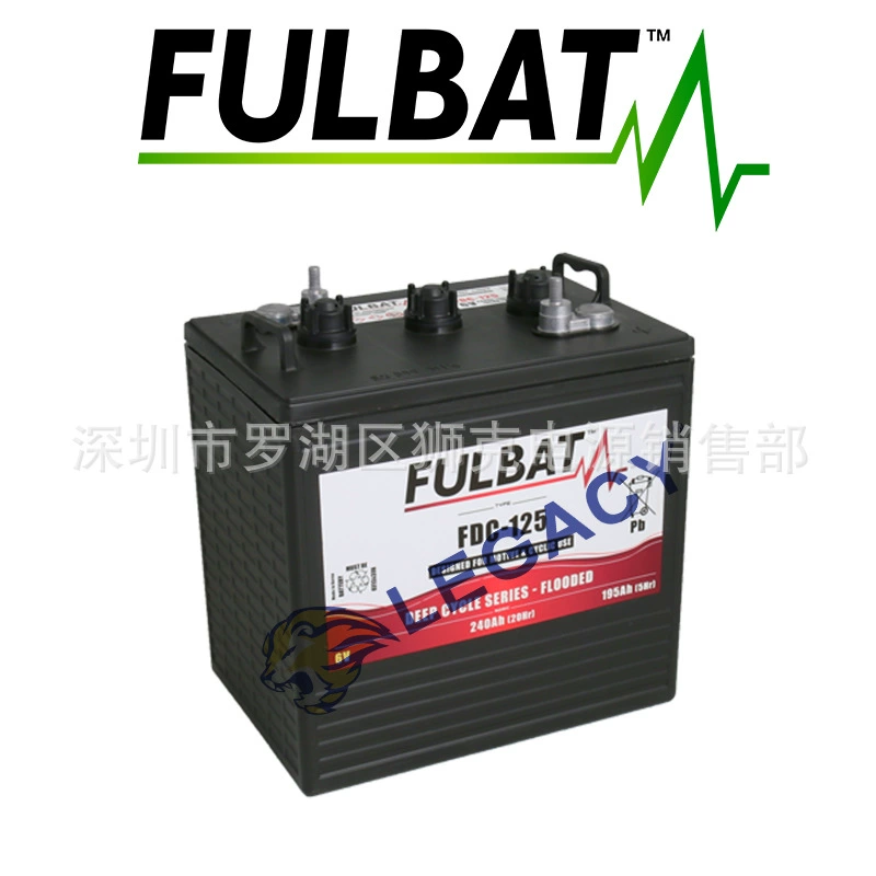 Rechargeable battery, 100, 100A, Germany, 12v, 100AH