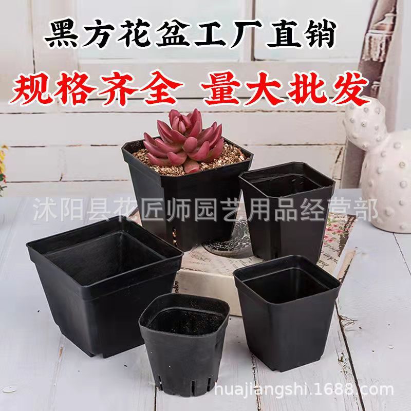 多肉盆栽种植大号万象装饰花盆塑料小黑方育苗杯处理款小号加厚