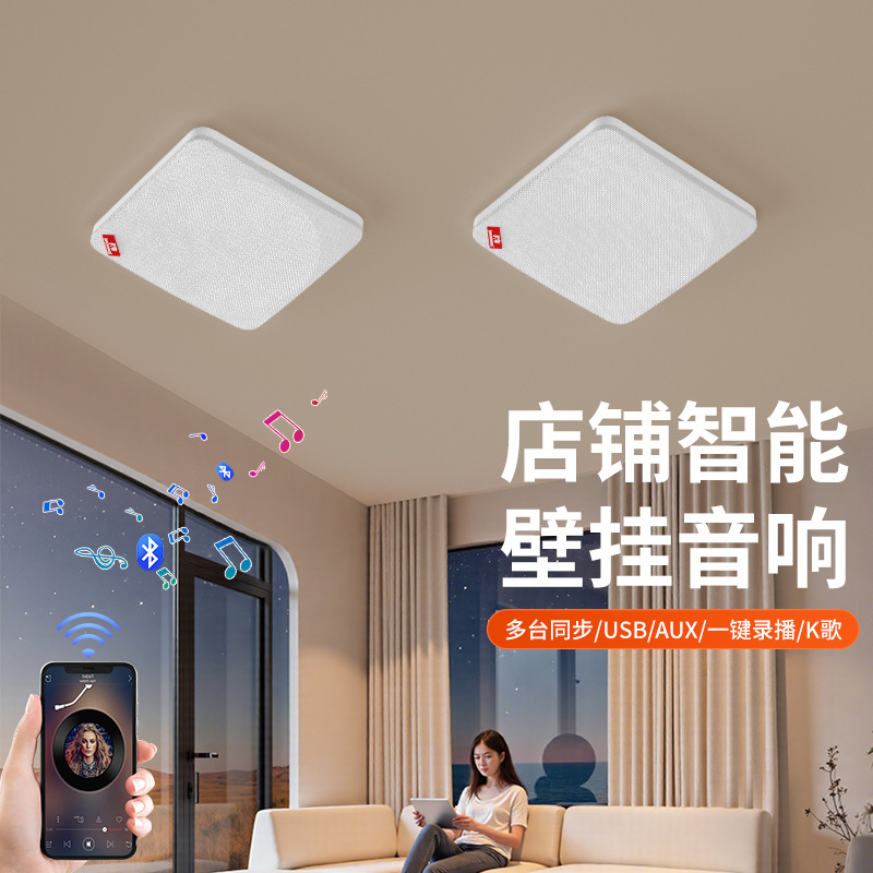 Wall-Mounted Wireless Bluetooth Speaker, Wall-Mounted Ceiling-Mounted Wireless Bluetooth Connection Player for Living Room, Gym, Classroom