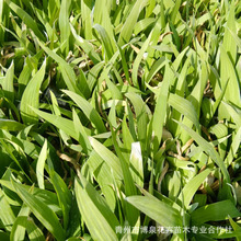 ͥԺ�e�����@ֲ���{���Sβ�����Ժ����m�R�m����ݱ����ܶ�����