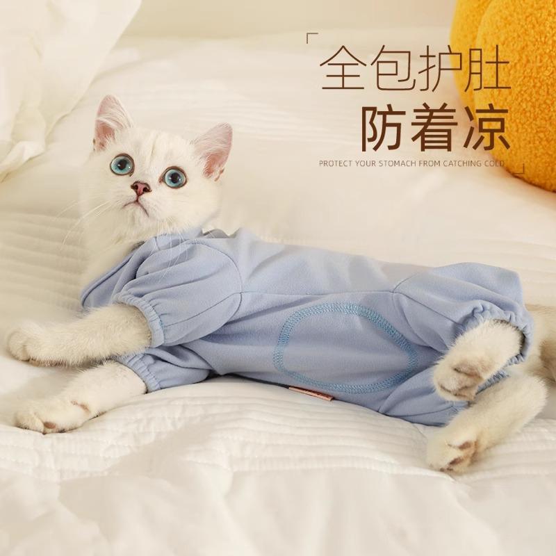 Ropa de gato otoño y invierno para evitar la pérdida de pelo pijama para proteger el estómago para evitar el frío mascota gato gato gatito gato de cuatro patas