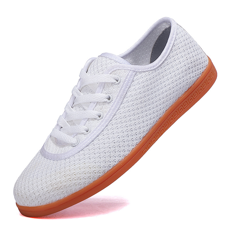 Zapatos de Quanzhou, zapatos de Tai Chi, malla de verano, suela de tendón, zapatos de práctica de Tai Chi, zapatos deportivos de artes marciales transpirables para hombres y mujeres