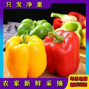 ���r�ʽ��A����ʽ����Բ����𽷼t���S���G��̫�ս��ཷ����ˮ��