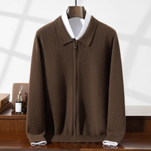 2025�����¿���ë����100����ë�_�����I��ɫ�̄����e�������