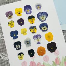 ��ɫ�������ɻ����l��������ֲ��˱����������z�֙C���ɻ�����