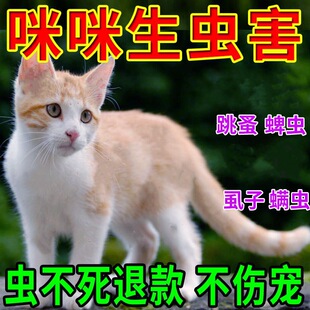 �������x���Ú��x������؈Ȯ���������x���x���w������x���F