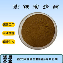 紫锥菊提取物紫锥菊多酚 4% 菊苣酸 2% 4%量大从优现货包邮可寄样