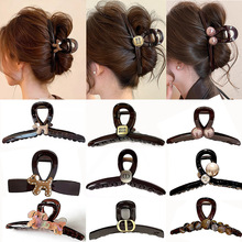 2026�¿������̖ץ�AŮ�l������X�׸߼������~�A�l���^����l