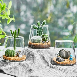 玻璃杯;冷水壶;茶壶