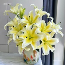 ���l�r����ˮ�ٺ������������ֱ�lõ���r�л��滨���˹���������