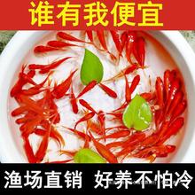 �^�p�~�ݽ��~С�͵�ˮ�ͻ���ˮ���B���~�w���B�J������~�t������