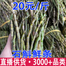 铁皮石斛鲜条 石斛鲜条 霍山石斛鲜条 云南石斛鲜条产地货源