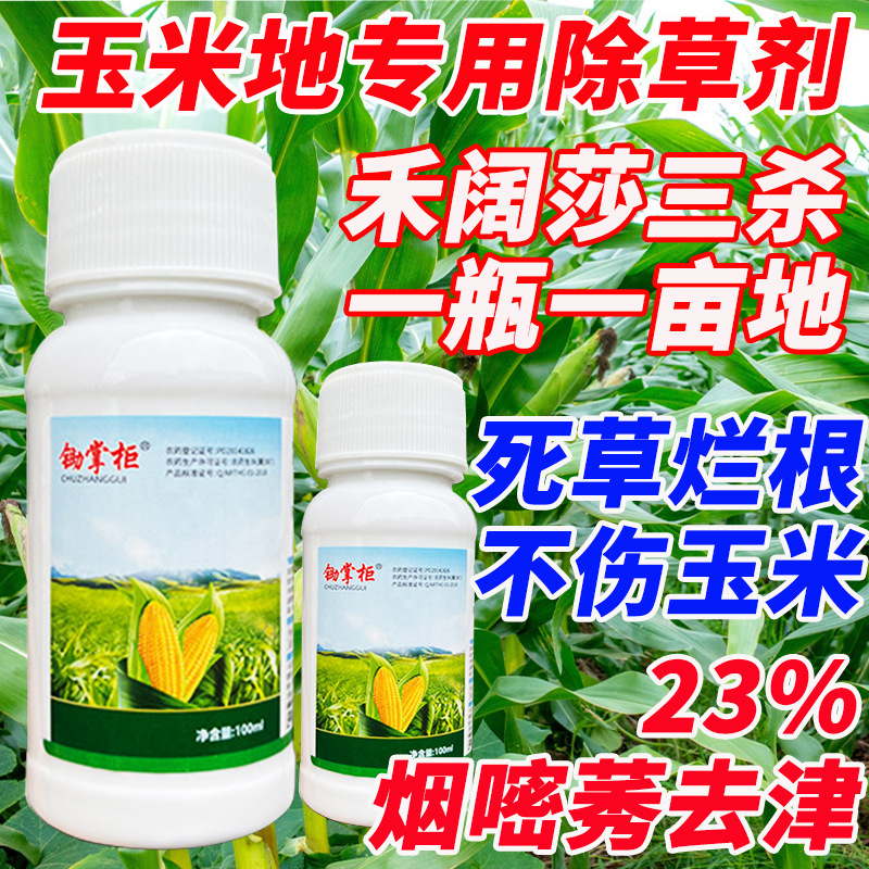 Post-Germination Herbicide for Corn 23% Pyraclostrobin and Herbicide Mixture for Killing Broadleaf Weeds Without Damaging Corn or Taro Plants Post-Germination Herbicide for Corn 23% Pyraclostrobin and Herbicide Mixture for Killing Broadleaf Weeds Without Damaging Corn or Taro Plants