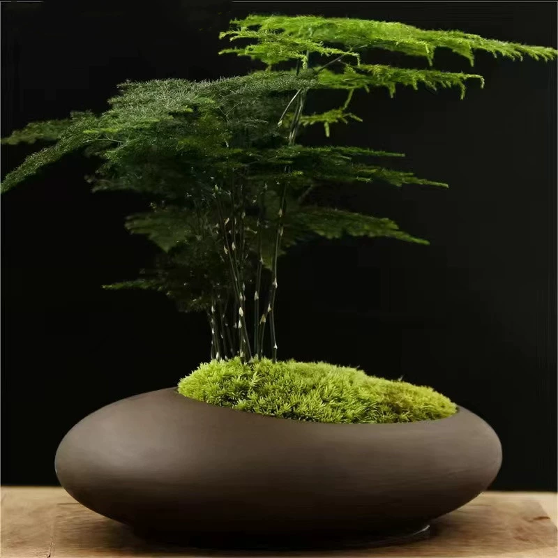 Фиолетовый песок плотный лист бамбука зеленая посадка небольшая горшечная столешница украшение бонсай офис для очистки воздуха керамический цветочный горшок