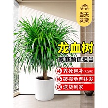 ��Ѫ�������k���҃ȴ��Ϳ͏d���F����լ�Gֲ����Ϙ���������횘�