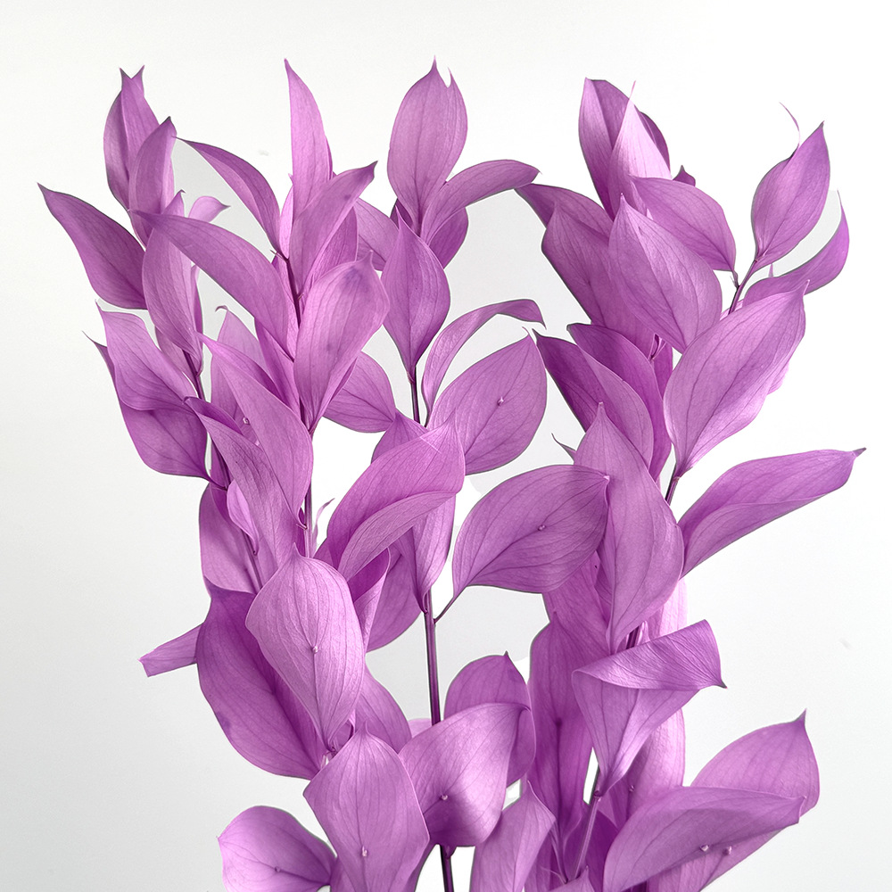 Imortales flores de naranja importación de alta calidad flores verdaderas flores secas ramo de flores DIY día de San Valentín flores hechas a mano fábrica de Yunnan al por mayor