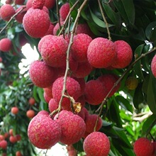 ��֦����޽ӹ���o�˹�ζ����Ц�ش�̖�ϱ���ͥԺ�����ļ�ˮ����
