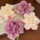 Peony Flower Hairpin ~ Large Vacation Style Recess Style Photo Flower Side Clip Hair Accessories Spring New Headwear for Women