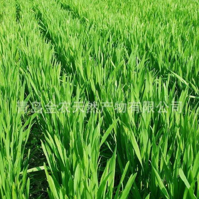 ����ֱ�����������֭�����ŷ�ʳƷ����ˮ������۹�����������