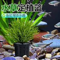 Рыбный аквариум Водяная трава Корзина Растения Пейзажи Чашка Зеленая Посадка Крепежная Корзина Растения