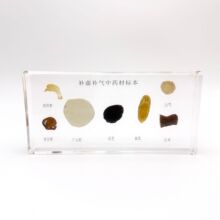 中草药标本树脂包埋科学材料实验教学教具幼儿园中药材展示摆件