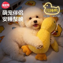 �_�h�������lë�q��˯�������С��Ȯ̩����黥��؈�䌙����Ʒ
