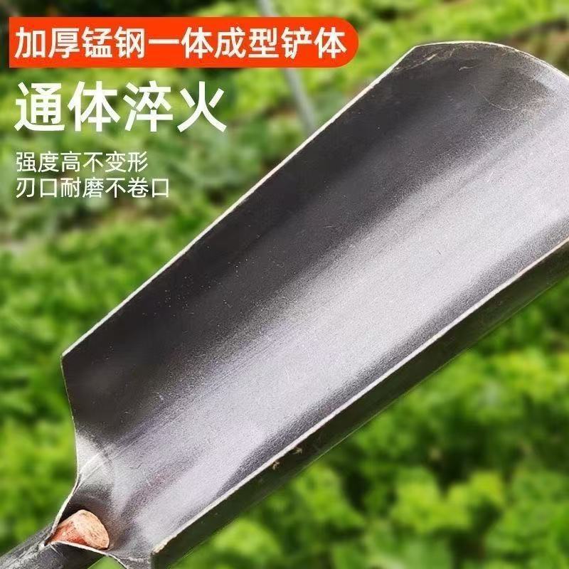 微信图片_20250416091156.jpg