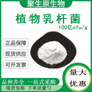 植物乳杆菌100亿cfu/g 乳酸菌原料 活性益生菌  聚生原现货包邮