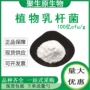 植物活性原料乳杆菌