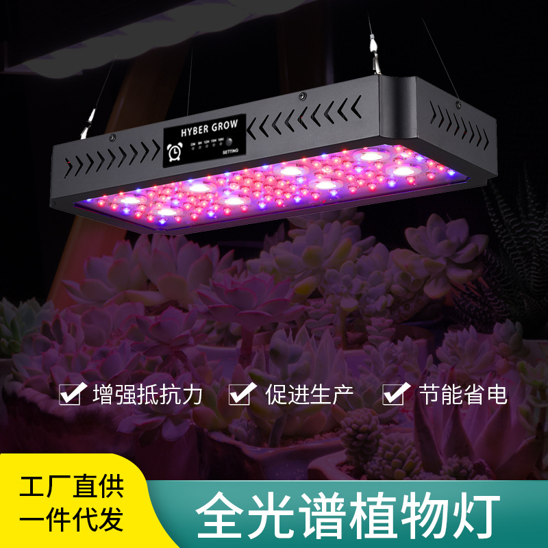 2000W植物生长灯LED全光谱育苗灯多肉补光灯仿太阳光大功率植物灯