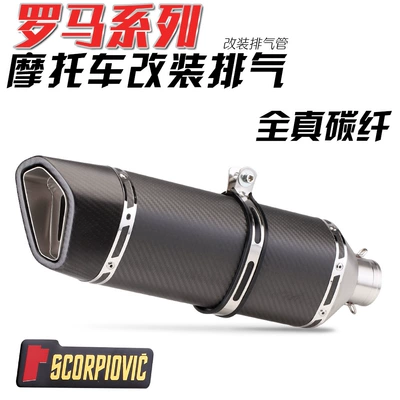 Exhaust pipe modification DUKE390 infinite - all-real-carbon-fiber