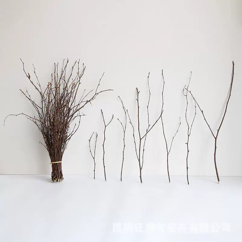 狂想者天然干树枝装饰干花艺术天然卧室客厅