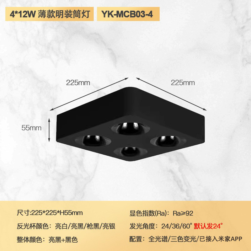 Four heads 48w (all black model)
