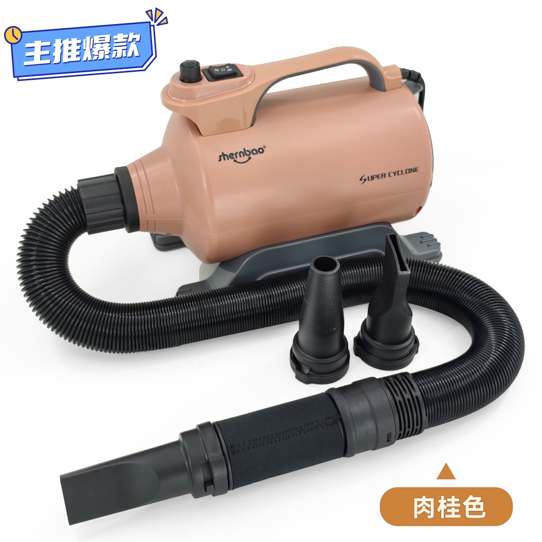 살색 110V 미국 표준