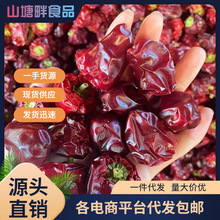 �F�ݟ��\��ɢ�b�t���\������������΢������������偻�偵�������