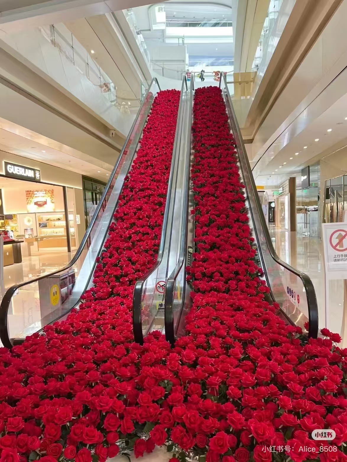 3d7e91eb6afa233b8b7e533c9d25cf