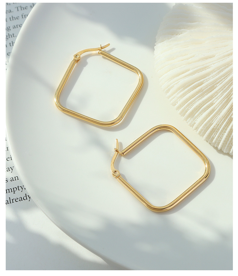 European And American Ins Style High Profile Fashion Personality Geometry Square Earrings Titanium Steel Plated 18k Real Gold Color Retaining Earrings F227 display picture 8