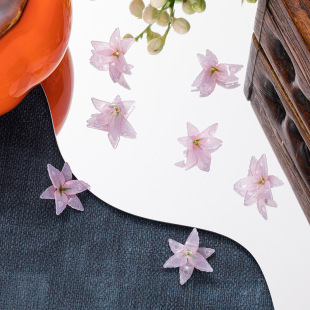 diy�Ʒ��� ��sƬ ��ɫ�p��С����ˮ�� �l���^��ֹ����Ʒ����