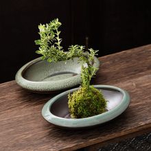 苔藓球附石菖蒲巴西木专用吸水石创意盆栽盆景盆哥窑水培花盆陶瓷