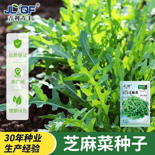 �M��֥��˷N���������˷N���ļ��̨���Ի�����˷N�ݶ�β�ժ