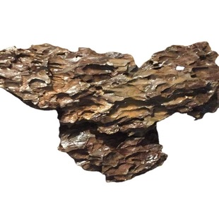 Aquarium landscaping Pine stone Wholesale natural Dragon Bone Stone bonsai stone absorbent stone garden stalagmite stone landscaping stone