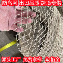 工厂定制bird net 尼龙加UV19毫米 50毫米孔防鸟网防麻雀海鸥
