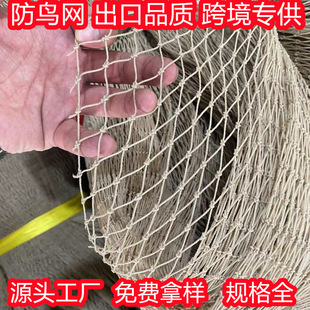���S����bird net ������UV19���� 50���׿׷��B�W����ȸ���t