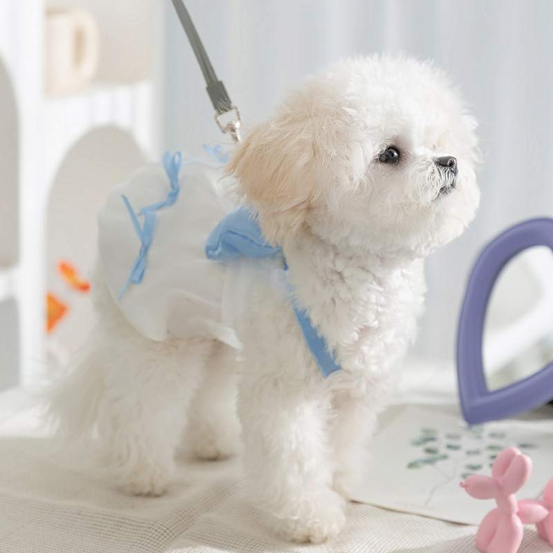 Princesa viento primavera verano perro colorido arco grande streamer falda de tirantes vestido de gato ropa de perro