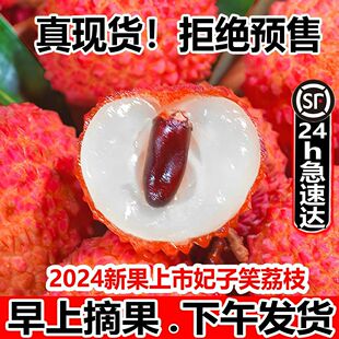 ��������Ц��֦���r�ǹ�ζŴ���ٰ���������ˮ����S