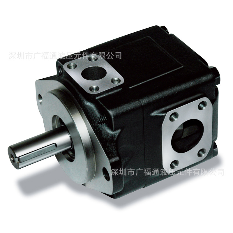 DENISON 丹尼逊油泵 T6E 050/052 66-2R00/2R01/2R02/2R03 A1/B1