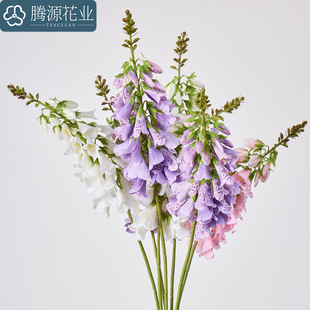 �S�����l��֧ë���S�����^�쾰�ٻ���c�廨��ĔzӰ���߻�ˇ